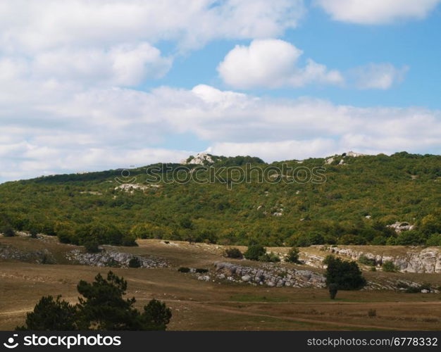 mountain landscape view with trees and rocks