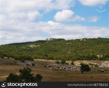 mountain landscape view with trees and rocks