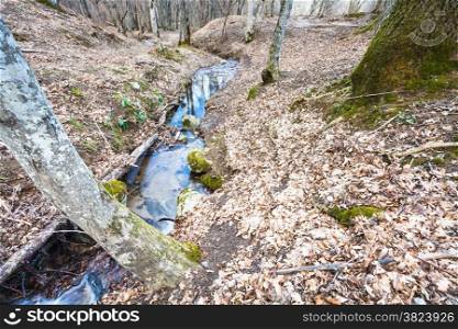 mountain landscape with brook in forest in spring in caucasus