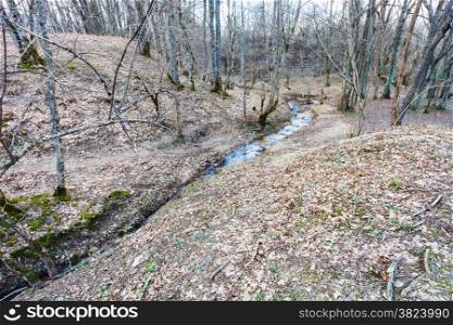 mountain landscape with brook in woods in spring in caucasus
