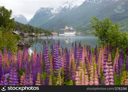 mountain landscape with cruise ship and pink lupine, norway