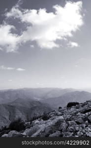 mountain landscape with evergreen tree. nature