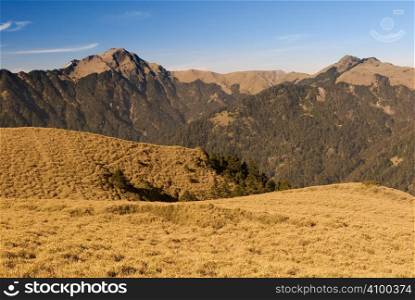 Mountain landscape with golden grassland in the morning.