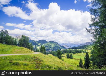 Mountain landscape with green meadows and pine trees in the summer