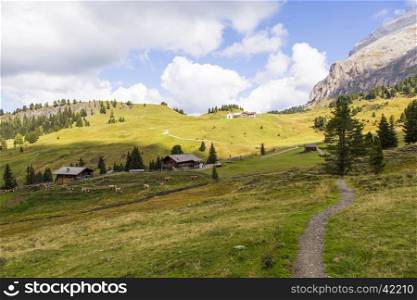Mountain landscape with path, huts and grazing cows on a sunny day