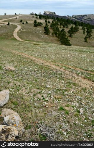 mountain landscape with road. nature