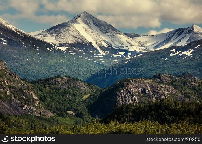 Mountain meadow in Alaska USA