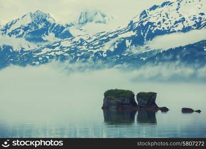 Mountain meadow in Alaska USA