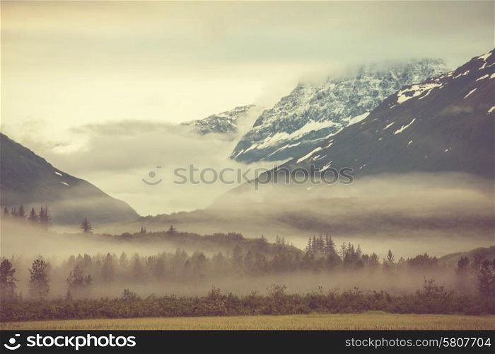 Mountain meadow in Alaska USA