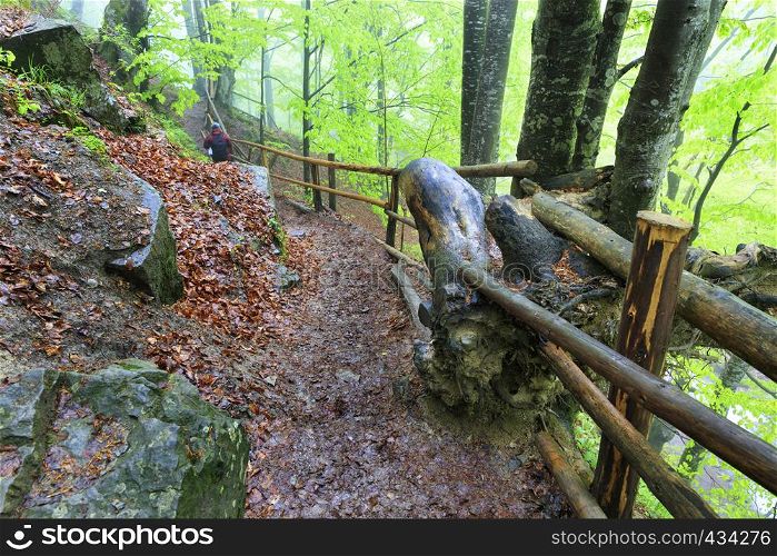 Mountain narrow path with old wooden railing in a humid misty forest goes down. Narrow and wet steep mountain path in the forest with thick fog and with old railing