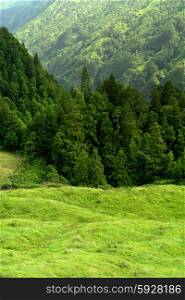 mountain natural landscape at the azores island of Sao Miguel, Portugal