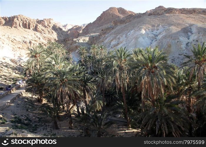 Mountain oasis Chebika at border of Sahara, Tunisia
