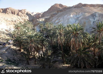 Mountain oasis Chebika at border of Sahara, Tunisia