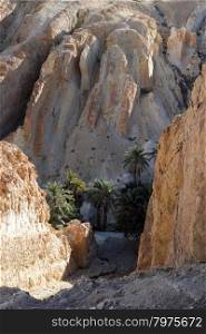 Mountain oasis Chebika at border of Sahara, Tunisia