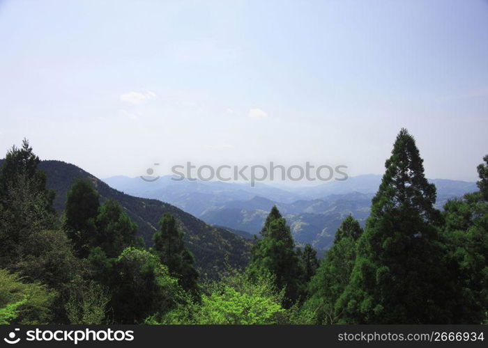 Mountain of Koya-san