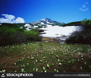 Mountain Panorama