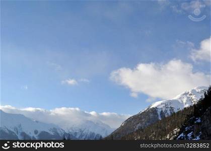 Mountain panorama, covered with trees and high snow, partly in the clouds. Shot in Livigno - Italian Alps