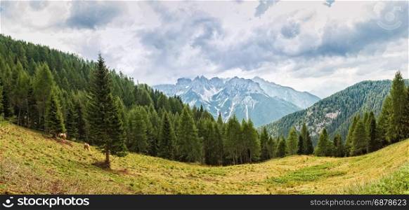 Mountain panorama with forest, horses and sky with clouds in summer.