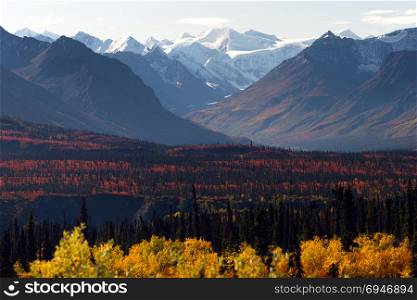 Mountain pass into the Denali Range outback Alaska fall season