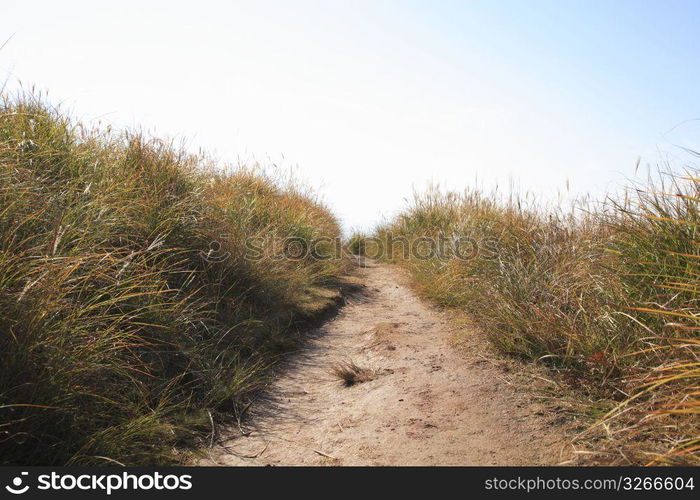 Mountain path