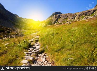 Mountain path at sunny day