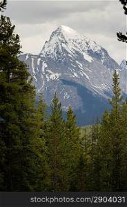 Mountain peak viewed from a forest, Bald Hills, Jasper National Park, Alberta, Canada