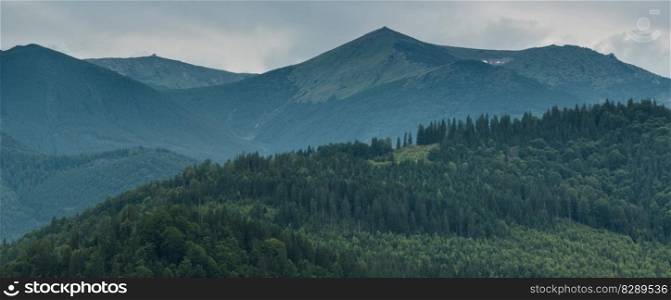 Mountain peaks and evergreen forest panorama with mood weather in summer season. 