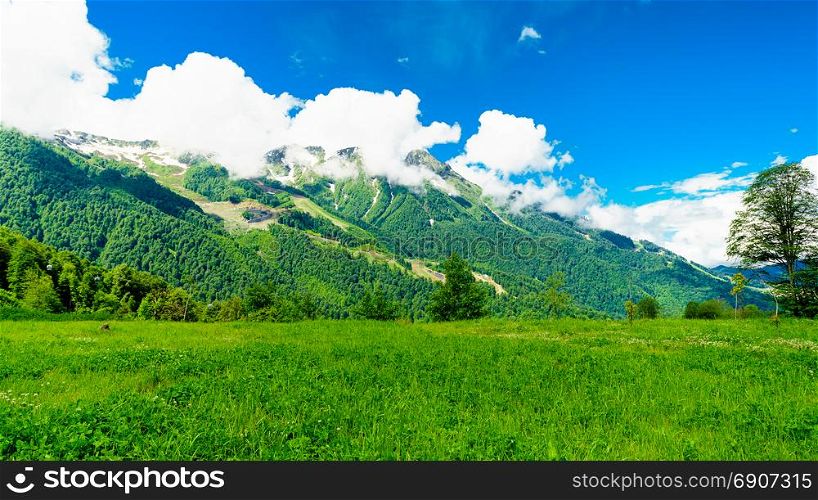 Mountain peaks. Mountain green landscape