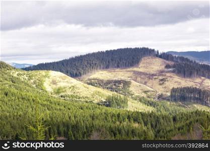 Mountain peaks with felled forest. The concept of ecological disaster.. Mountain peaks with felled forest