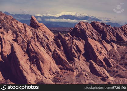 Mountain Plateau La Puna, Northern Argentina