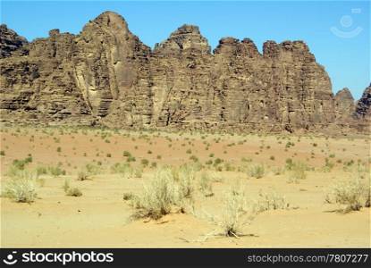 Mountain range and bush in desert Wadi Rum, Jordan