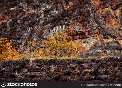 Mountain range covered with dry plants, abstract natural background, autumn season nature