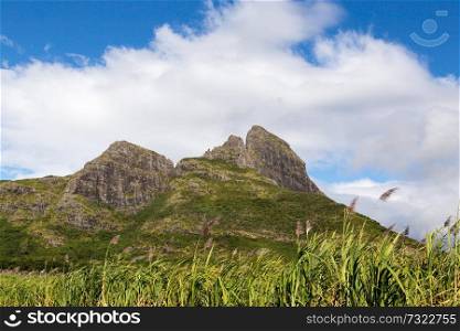 Mountain range in Mauritius with sugar cane field.. Mountain range in Mauritius with sugar cane field