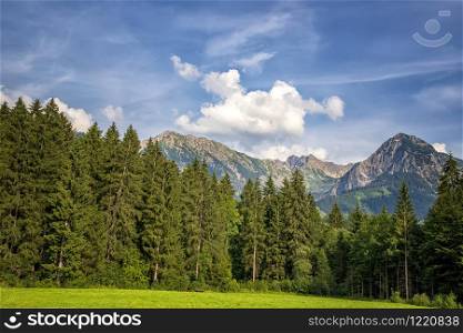 Mountain range nature landscape. Forest and mountain landscape. Beauty in nature.