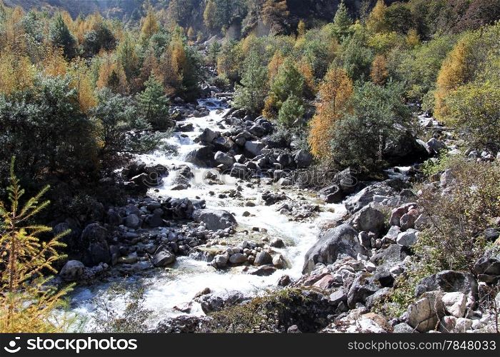 Mountain river and autumn forest in Nepal