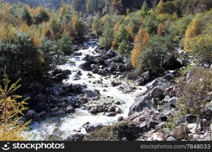 Mountain river and autumn forest in Nepal