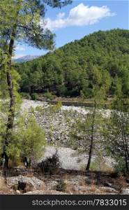 Mountain river and forest near Koprulu canyon in south Turkey
