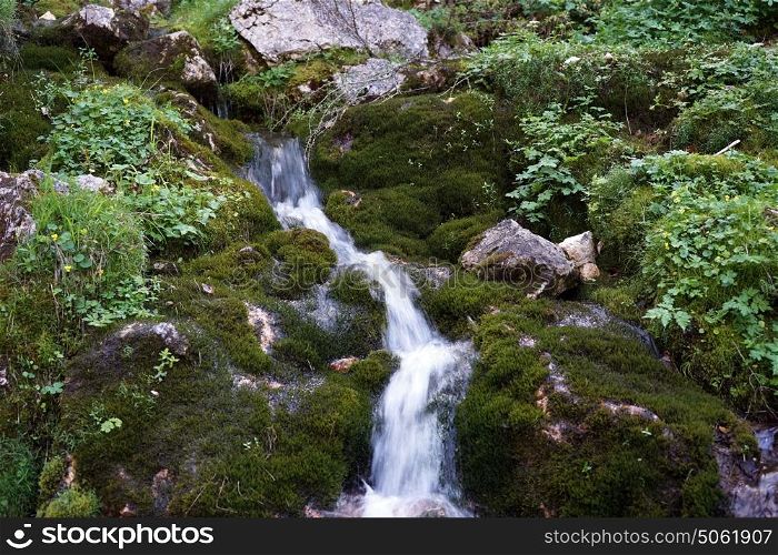 Mountain river and rocks with moss in Slovenia