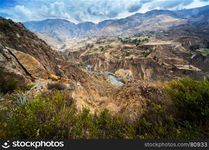 mountain river and the valley of terraced