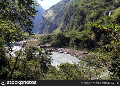 Mountain river and trees in Nepal