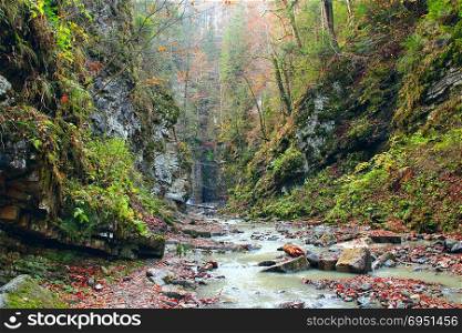 Mountain river flowing in canyon among green forest. Beautiful natural landscape. Panorama with forest river. Fast mountainous river with stony rapids. Mountain river flowing in canyon among green forest. Landscape with river