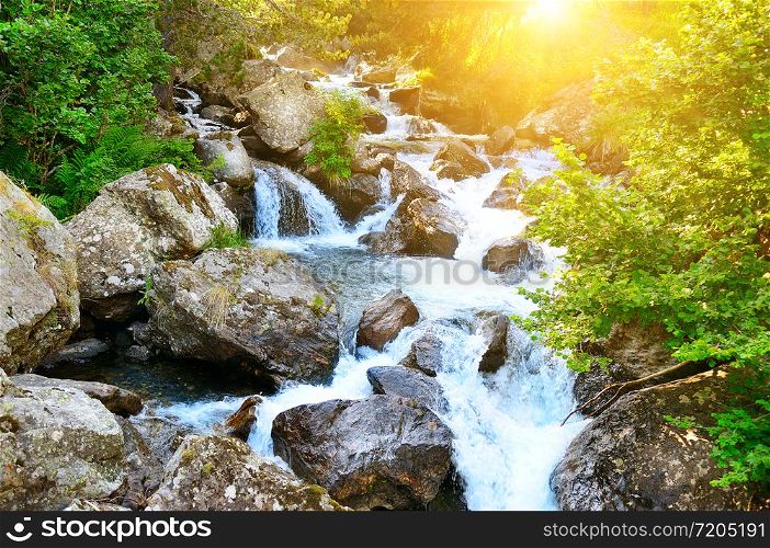 Mountain river flowing through the green forest. The concept is travel.