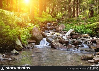 mountain river, forest and bright sun
