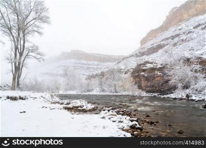 mountain river in a heavy April snowstorm - Poudre River at Belvue near Fort Collins, Colorado
