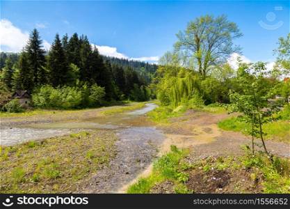 Mountain river in Carpathian forest in a beautiful summer day, Ukraine