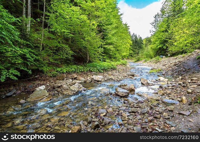 Mountain river in Carpathian forest in a beautiful summer day, Ukraine