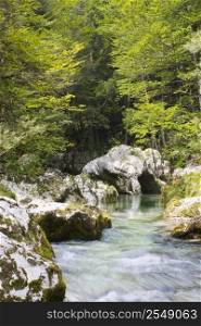 Mountain river in green forest - Mostnica - Slovenia