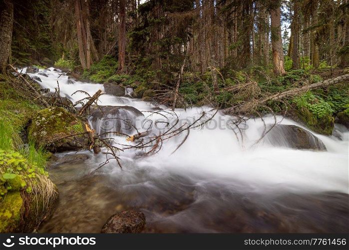 Mountain River in the wood. Beautiful wildlife landscape.