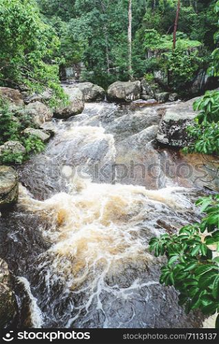 Mountain river stream waterfall green forest / Landscape nature plant tree rainforest jungle with rock and green mos tropical forest