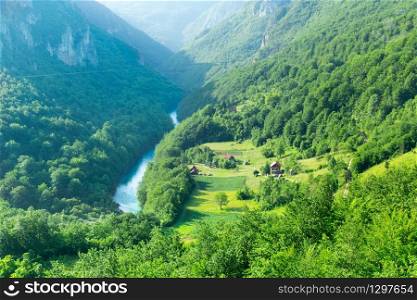 Mountain river. Tara river canyon, Montenegro